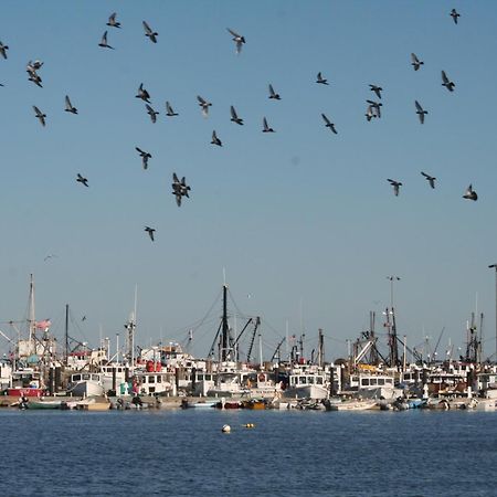 Anchor Inn Beach House Provincetown Esterno foto