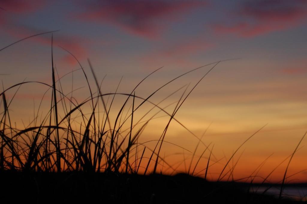 Anchor Inn Beach House Provincetown Esterno foto