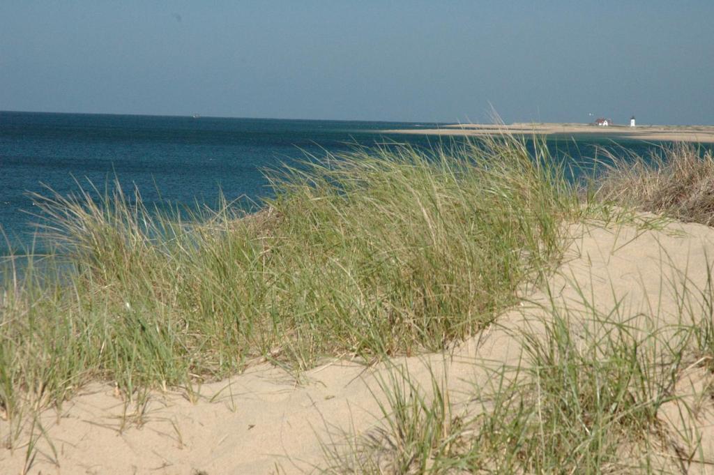 Anchor Inn Beach House Provincetown Esterno foto